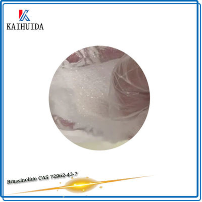 Sustancias químicas agras Brassinolide el 90% TC CAS 72962-43-7 del regulador del crecimiento vegetal del ODM