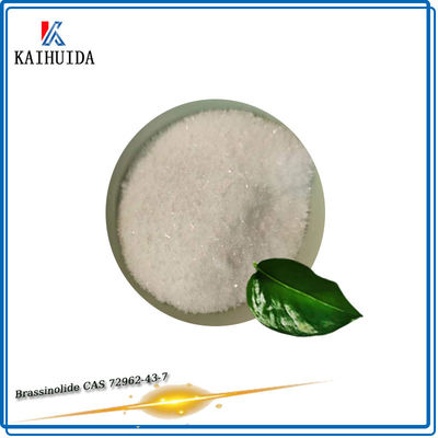 el regulador natural del crecimiento vegetal de 0.1%Sp Brassinolide pulveriza CAS 72962-43-7