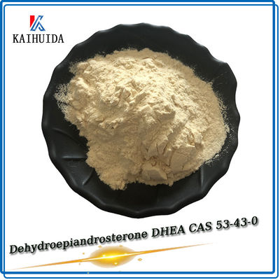 Intermediarios farmacéuticos DHEA en polvo en bruto CAS 53-43-0